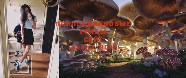 ALPHA PVP Липки
